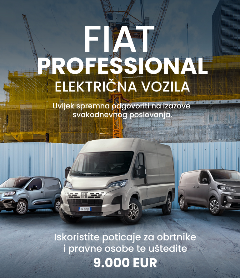 Fiat Professional_web